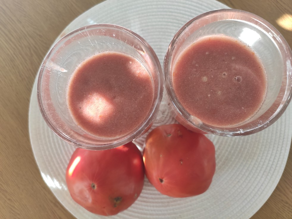 Receita de Gaspacho para a Bimby